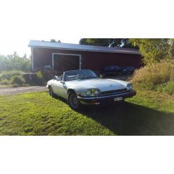 Jaguar xjs v12 cab -90