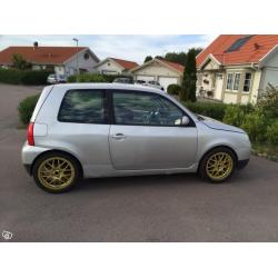 Lupo 3L -99