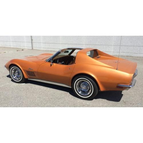 Corvette Stingray T-Top 1971 "Survivor"