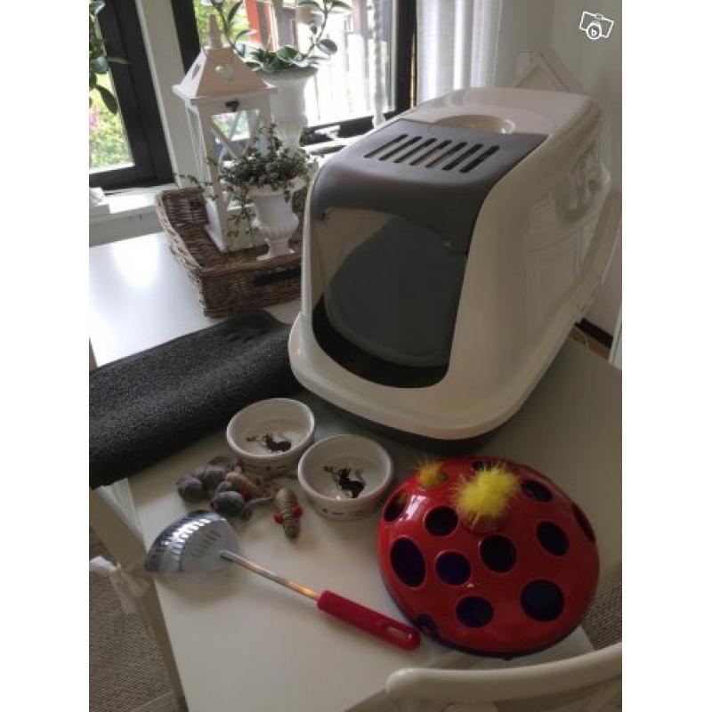 Startpaket till katt