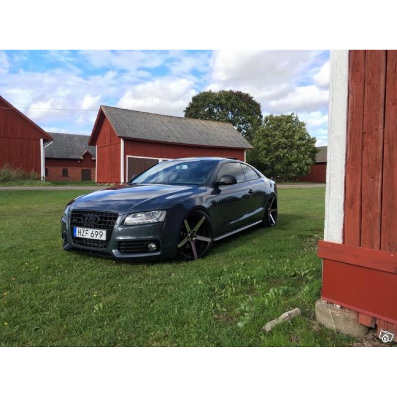 Audi A5 3.0tdi Quattro Panorama S-Line -09
