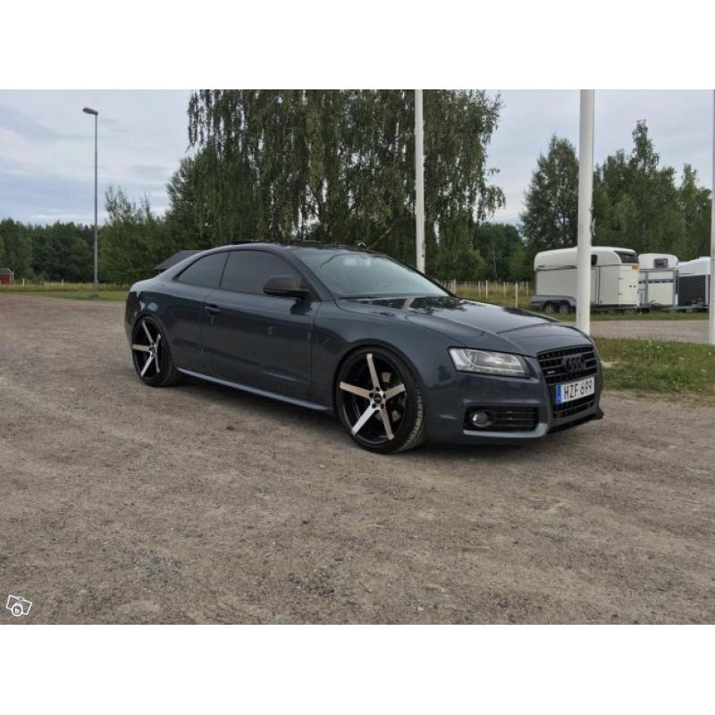 Audi A5 3.0tdi Quattro Panorama S-Line -09