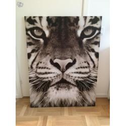 Canvas Tiger / Isa form